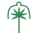 seshat